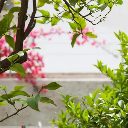 Апарт-отель Delfini I *