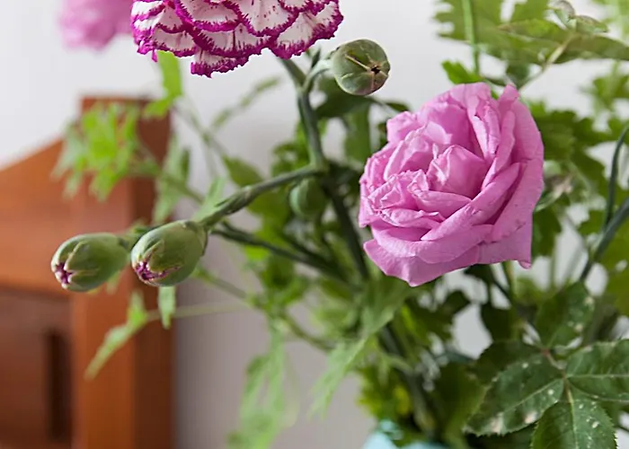 Delfini I Апарт-отель Тира