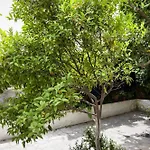 Delfini I 公寓式酒店 费拉