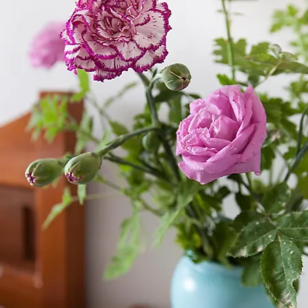 Delfini I Lägenhetshotell Fira (Santorini)