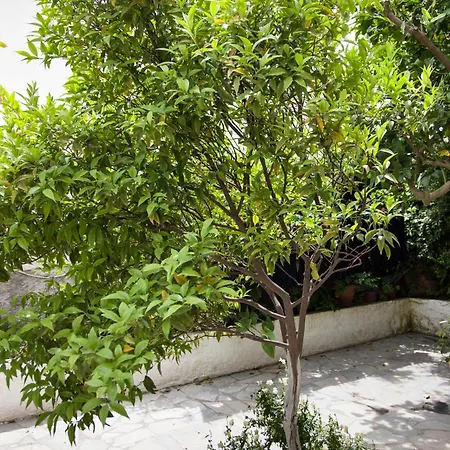 Delfini I Lägenhetshotell Fira (Santorini)