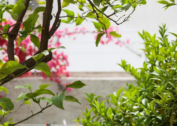 Aparthotel Delfini I *