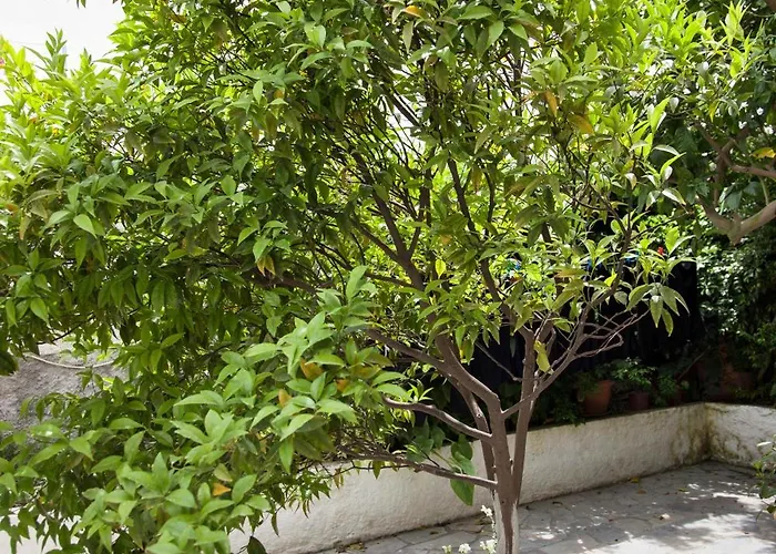 Delfini I 公寓式酒店 费拉